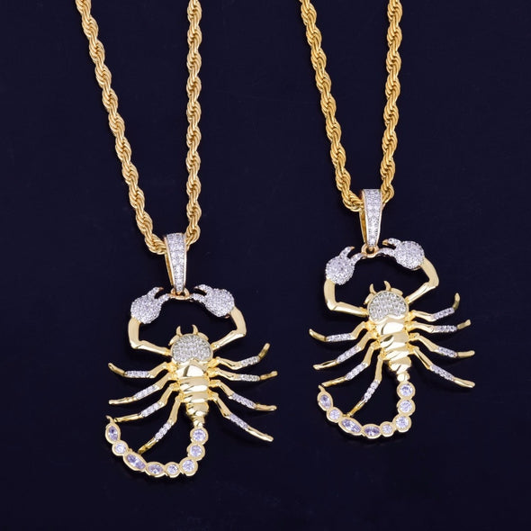 SCORPION MEDALLION + CHAIN